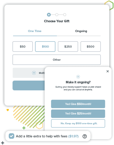 Online Donation Form Template