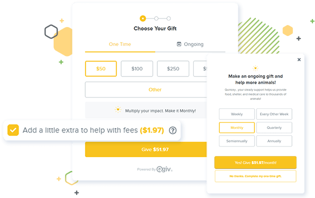 Qgiv's award-winning online donation forms.