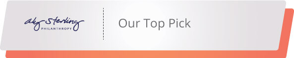 Aly Sterling Philanthropy is our top pick for fundraising consultants because they tailored support to every client. 