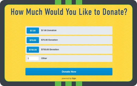 This Dream Center widget, powered by Qgiv, breaks out giving levels on the donation page, making the giving process easy for donors.