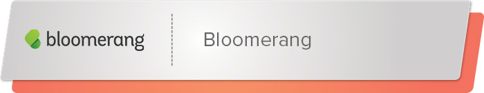 Bloomerang can help supplement your peer-to-peer fundraising platform.