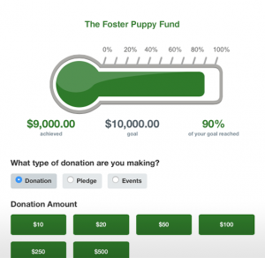 2020 Fundraising Trends: Fundraising Thermometers