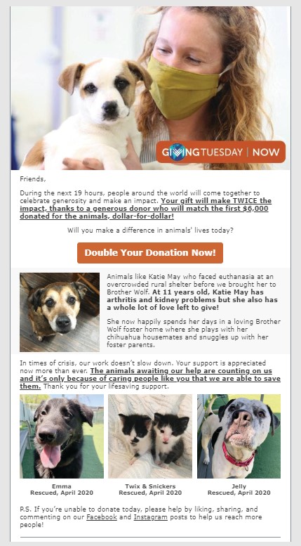 18 Life Hacks for Animal Shelters