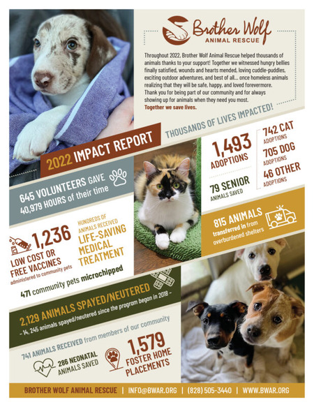 Brother Wolf Animal Rescue nonprofit annual report impact flyer
