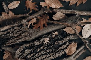 30+ Unique Fall Fundraising Ideas for Nonprofits