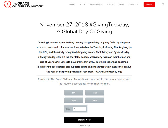 screenshot of the Grace Children's Foundation's 2018 Giving Tuesday donation page