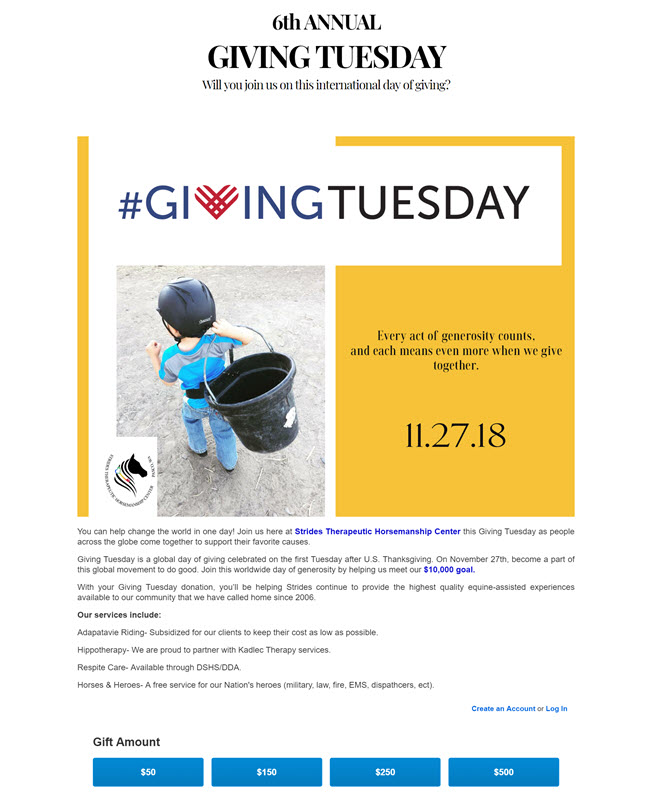 Strides' campaign page with information about Giving Tuesday, their services, and a great photo of a little boy carrying a feed bucket.