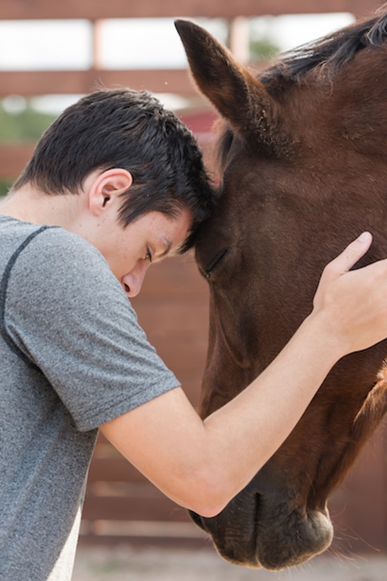 Actual photo, not a stock photo, of a moment of healing between a boy and a horse.