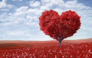 4 Nonprofits That Know The Power Of Love (And Make Valentine’s Day Special for Donors)