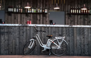 Electric bicycles are fun silent auction item ideas.