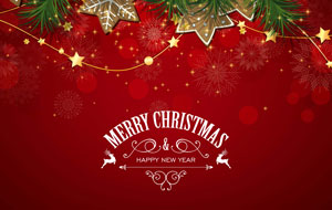 Offer a Christmas card photoshoot as an auction item idea.