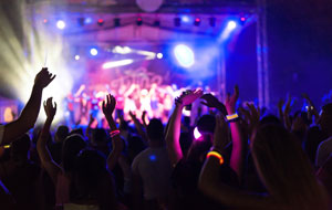 Backstage passes will be a popular auction item idea.