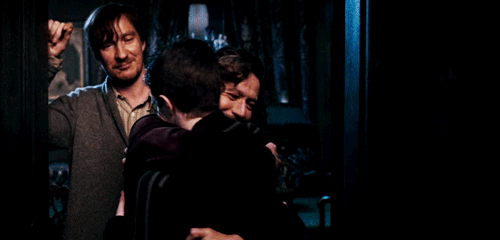 harry potter and sirius black hugging