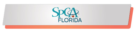 SPCA Florida effectively launched and executed a capital campaign.