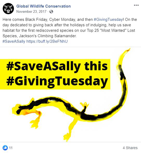 Global Wildlife Conservation Giving Tuesday social media post