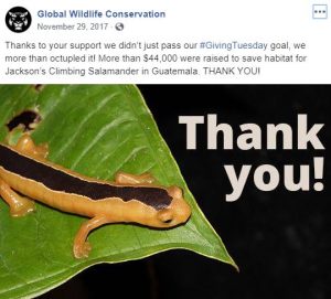 Global Wildlife Conservation Giving Tuesday social post