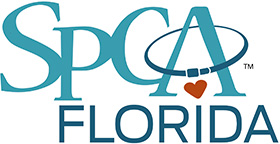 Image for Peer-to-Peer Event Spotlight – SPCA Florida