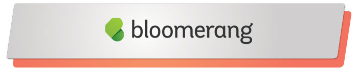 Read on to learn about Bloomerang, a top PayPal alternative to donor management.