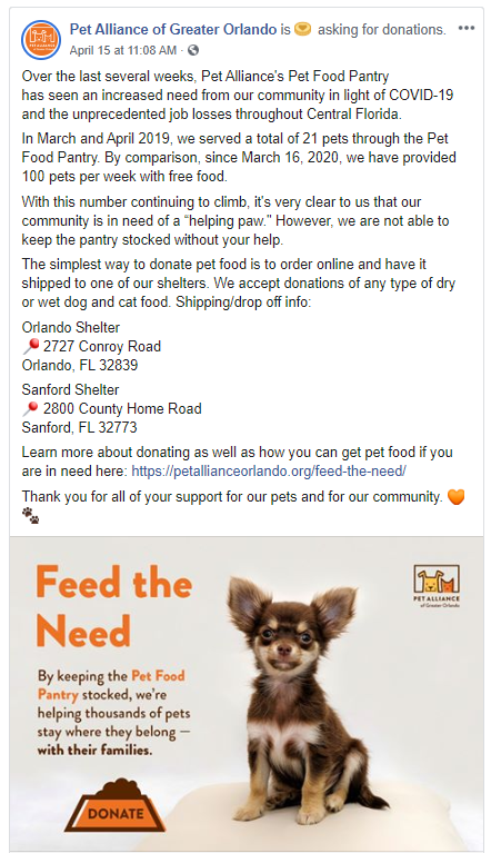 How to Help Animal Shelters? Streamers Support Dogs and Cats