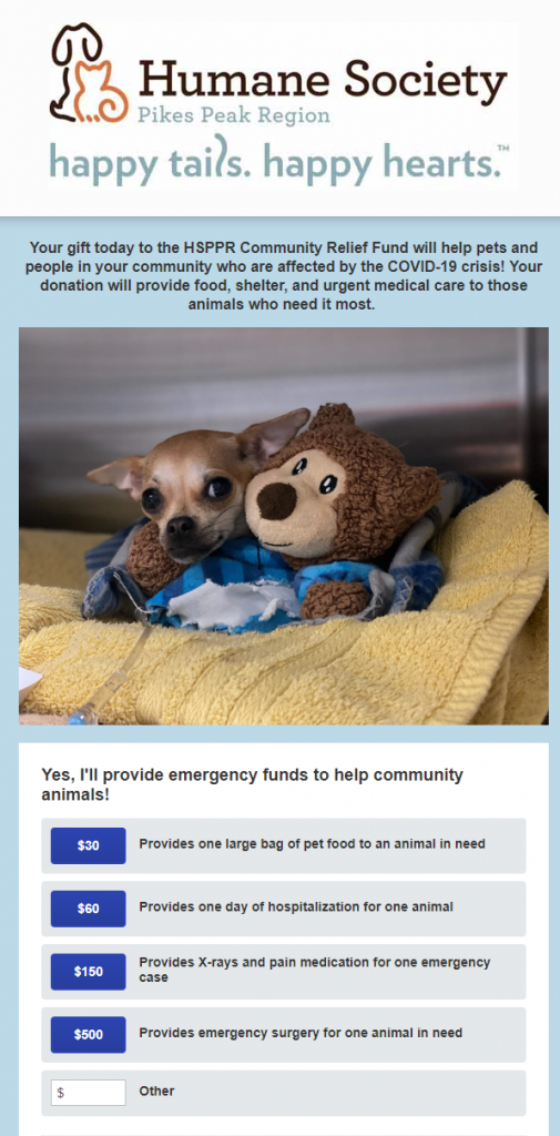 Animal  shelters fundraising for a COVID-19-related cause should have a special form that reflects this.