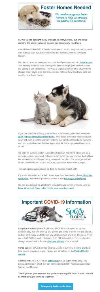 Adopt a Cat SPCA Florida