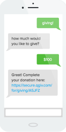 A mobile suite and text fundraising capabilities is an important part of your online fundraising platform.