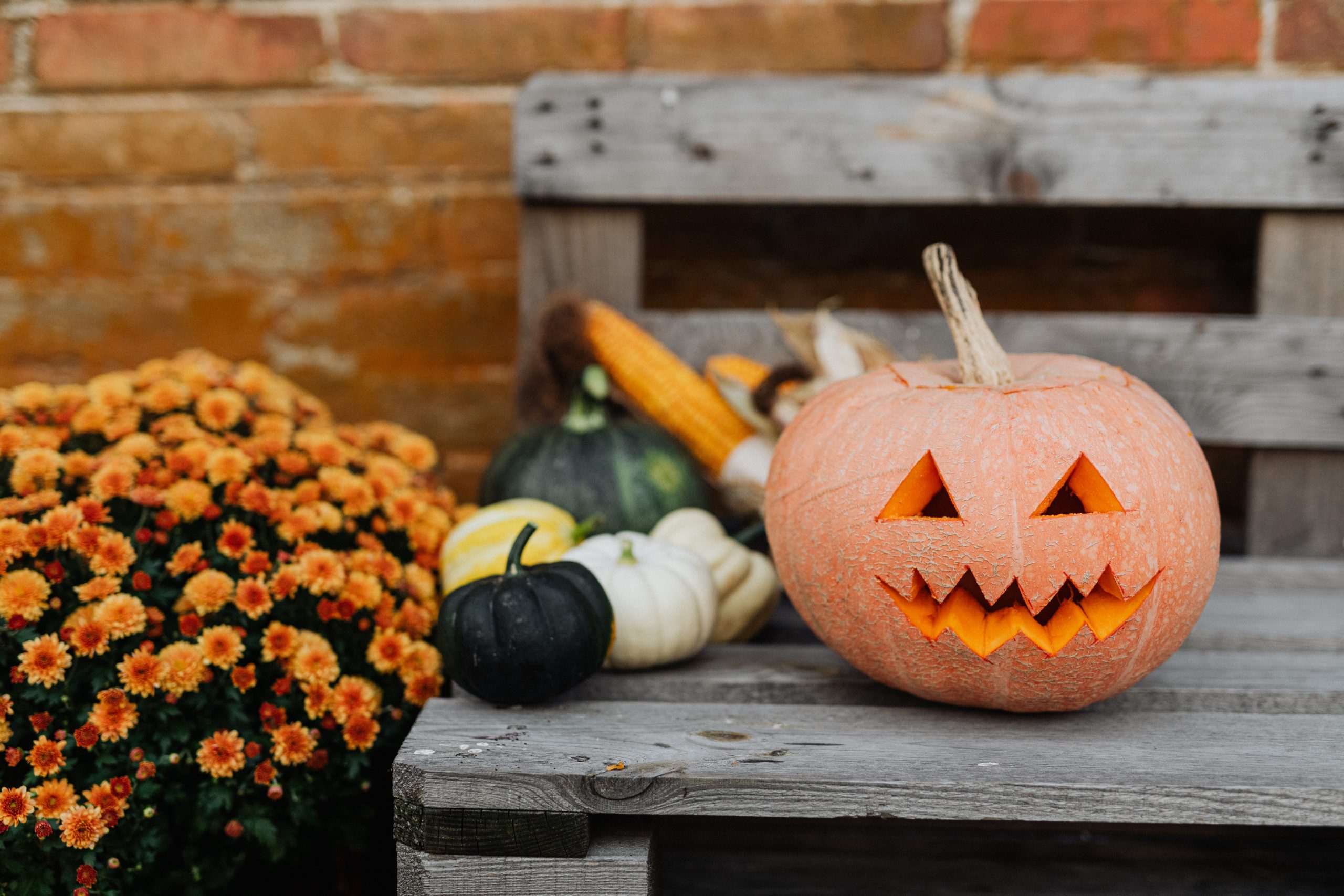 6 Halloween Virtual Event Ideas for a Spooky Good Time Fundraising Blog for Nonprofit