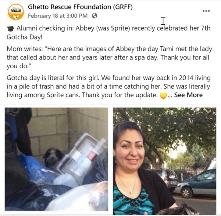 Screenshot of Ghetto Rescue FFoundation Facebook before and after example