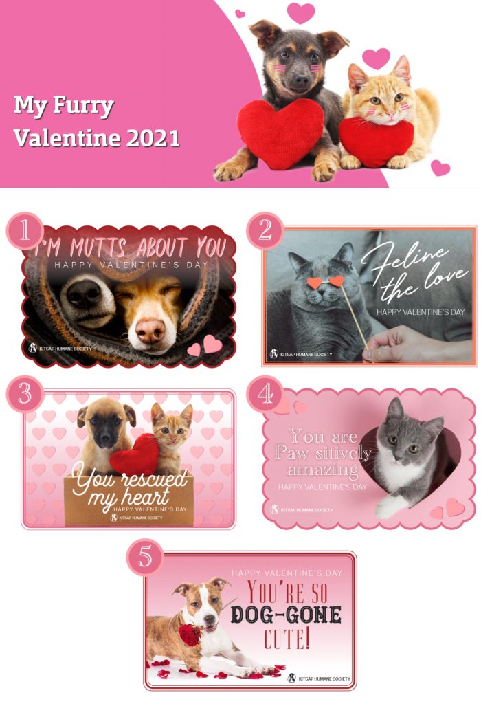 Kitsap Humane Society rocks their holiday-themed fundraisers. Checkout their My Furry Valentine 2021 campaign page.