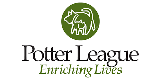 Image for Potter League