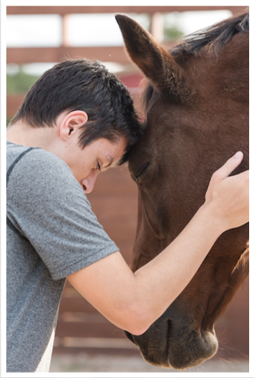 A photo from a horse therapy program’s donation appeal showing a boy leaning his head against his therapy horse