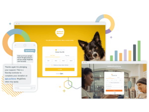 30 Most Effective Nonprofit Software Solutions for 2025