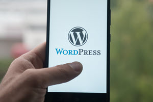 4 Ways Nonprofits Can Make the Most of WordPress