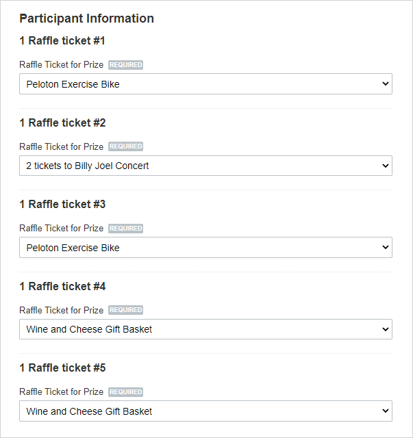 Custom drop-down fields for five charity raffle tickets. Each ticket has one prize selection. 