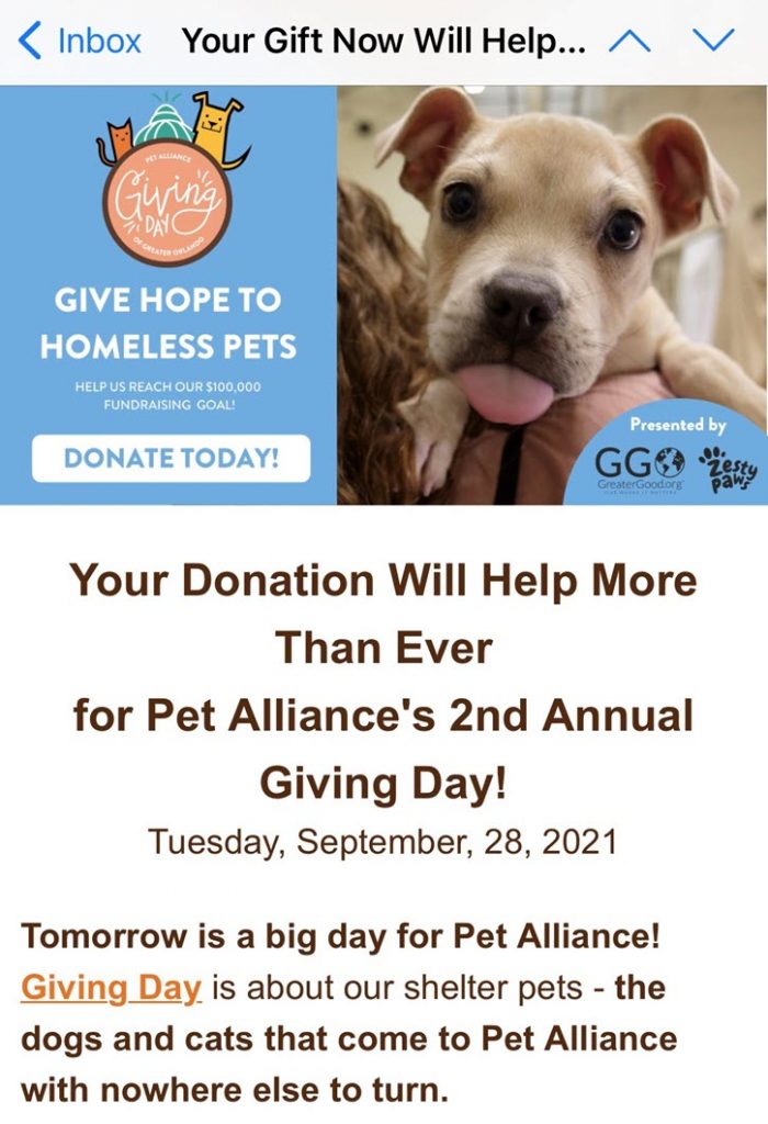 Screenshot of Pet Alliance's 2nd Annual Giving Day event page and donation prompt with photo of a puppy