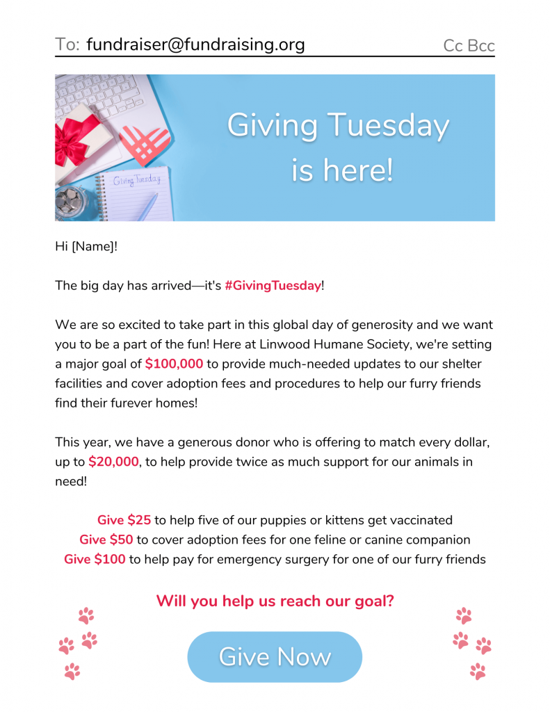 Giving Tuesday kick-off email example
