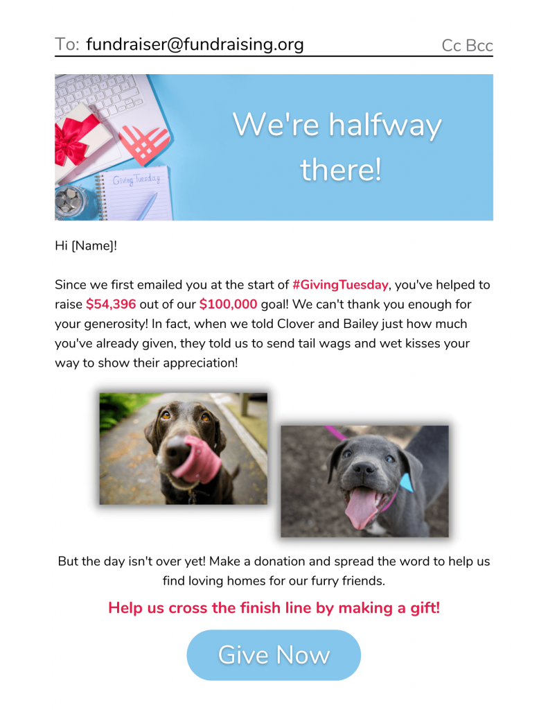 Giving Tuesday update email example