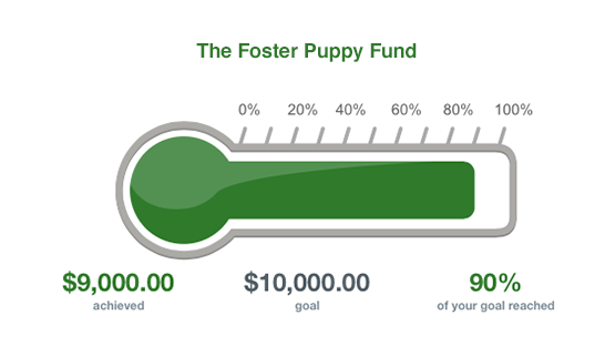 fundraising thermometer with $9,000 raised for a $10,000 goal showing 90% completion