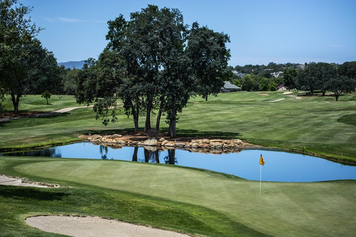 Pond on a golf course on a sunny day