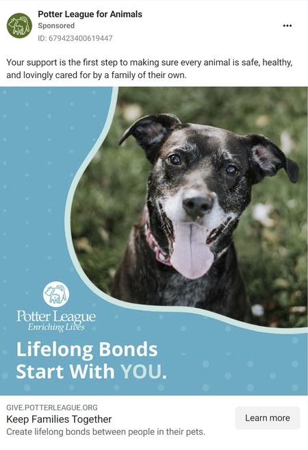 Facebook Ads for the Potter League for animals