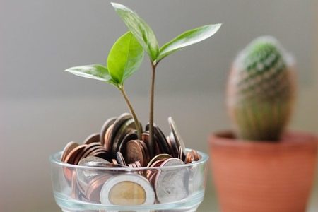 a guide to grants for nonprofits helps grow funding - coins in a cup with a plant growing in the middle
