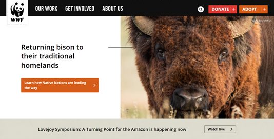 Screenshot of the World Wildlife Federation's website homepage