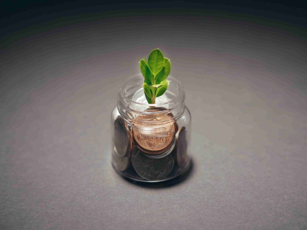 pennies in a jar with a sprout coming out of them representing the first steps in how to start a nonprofit
