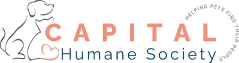 Image for How Capital Humane Society Uses Bloomerang to Sustain its 52% Donor Retention Rate